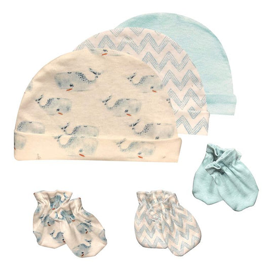 Newborn Hat & Mitten Gift Set